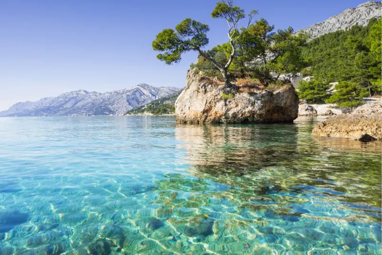 The Brela Stone on Punta Rata beach with clear turquoise water and pine trees in Croatia.