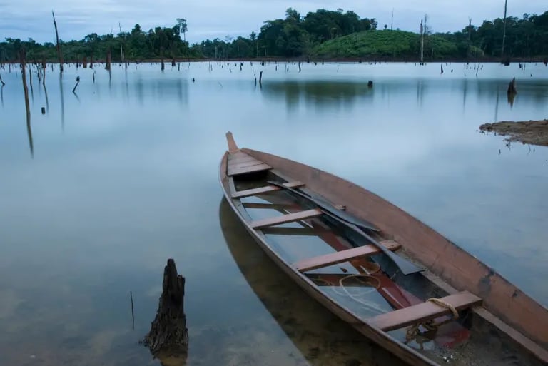 A traditional wooden boat floats on a calm lake with submerged tree trunks and a forest background.