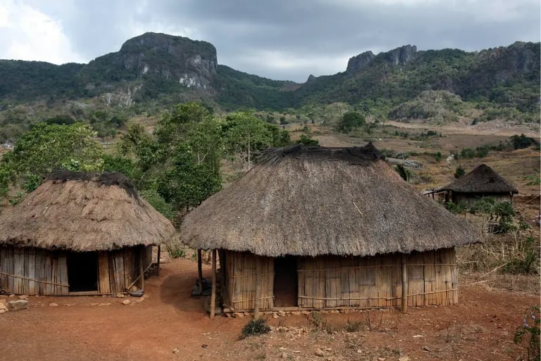 Traditional thatched roof huts in a rural mountain village landscape under a cloudy sky.
