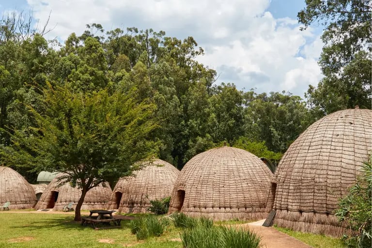 Traditional beehive-style thatched huts in a lush African village setting with green trees.