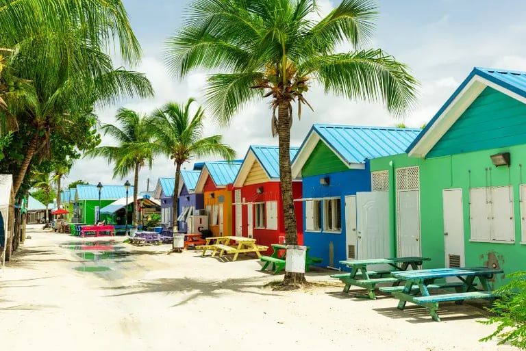 Colorful beach huts and picnic tables under palm trees at a tropical Caribbean resort.