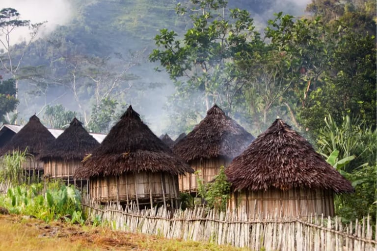 Traditional thatched roof huts in a misty mountain village landscape.