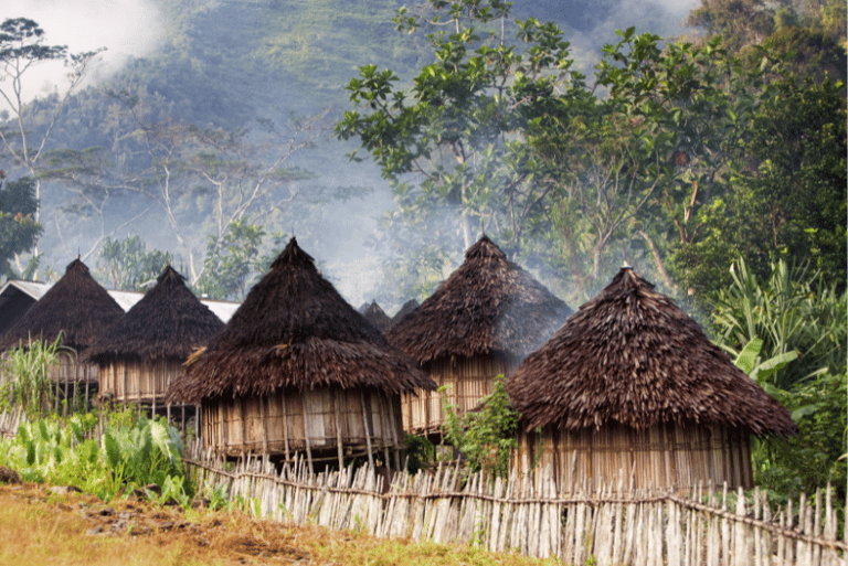 Casas tradicionales en Papúa Nueva Guinea