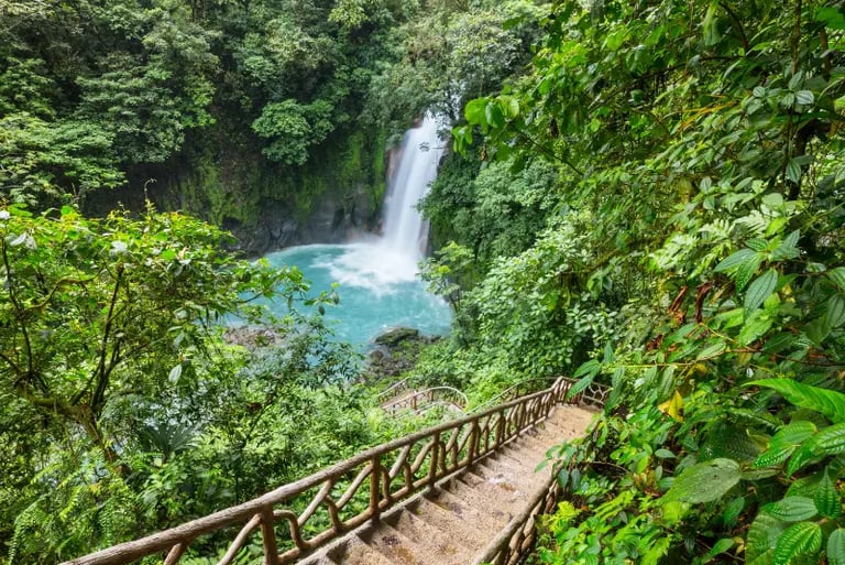 Stairs leading to the turquoise Rio Celeste waterfall in the lush Costa Rica rainforest.
