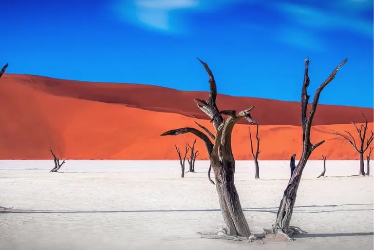 Dead camel thorn trees in Deadvlei, Namibia, against orange sand dunes and a blue sky.