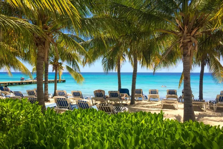 Tropical beach resort with palm trees, lounge chairs, and turquoise ocean water on a sunny day.