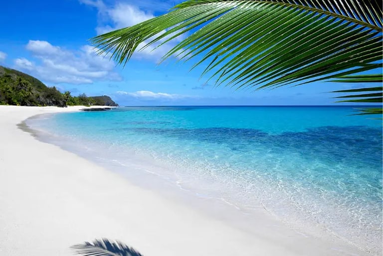 Tropical white sand beach with turquoise ocean water and green palm fronds under a blue sky.