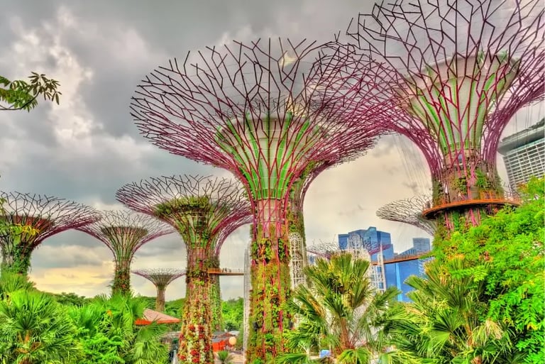 Vertical gardens at Supertree Grove in Gardens by the Bay, Singapore under a cloudy sky.