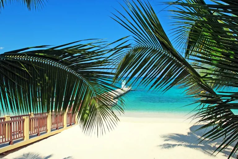 Tropical white sand beach with turquoise water and palm tree leaves framing a wooden pier.