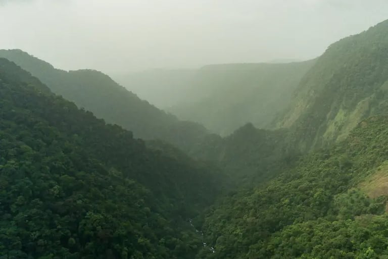Lush green mountain valley covered in dense tropical forest under a misty, hazy sky.