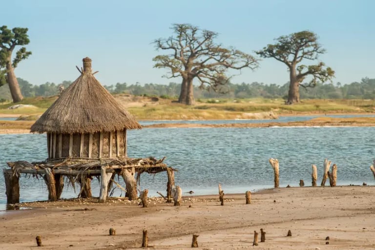 Traditional thatched hut on stilts by a river with baobab trees in the African savanna landscape.
