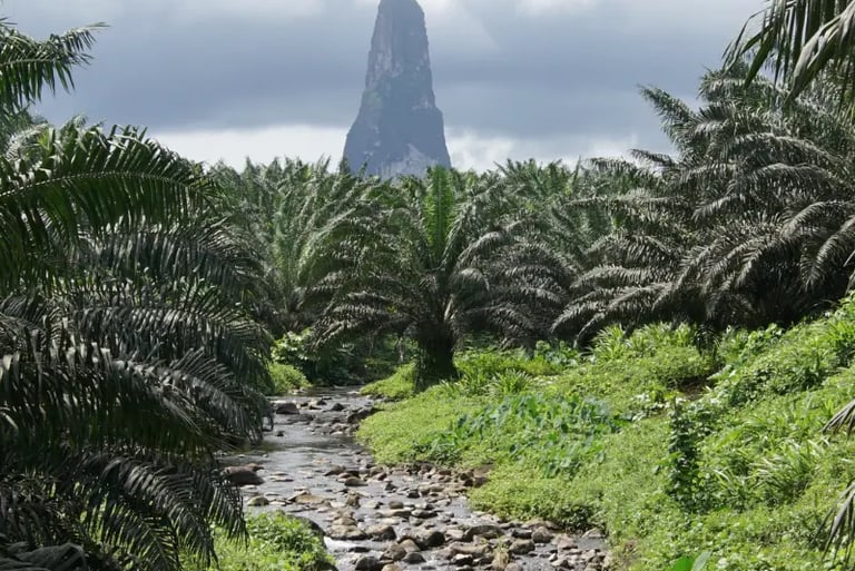 Pico Cão Grande volcanic plug tower rising above a lush palm tree forest and rocky stream in Sao Tome.