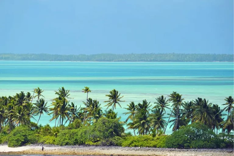 Tropical island shore with lush palm trees overlooking turquoise lagoon water under a clear blue sky.