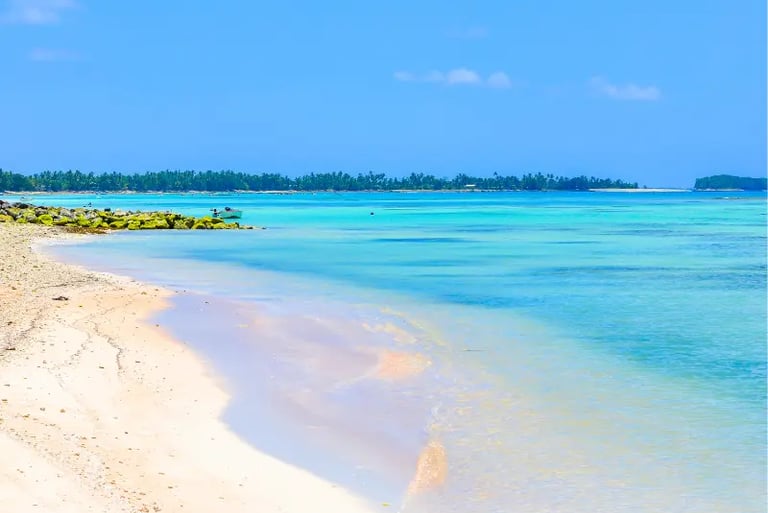 Pristine tropical beach with white sand and turquoise ocean water under a clear blue sky.