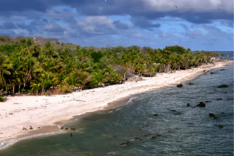 Tropical white sand beach lined with lush green palm trees under a cloudy blue sky.