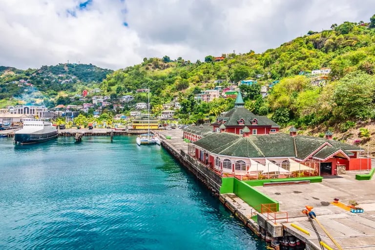 Scenic view of St. George's harbor in Grenada featuring colorful buildings and lush green hills.