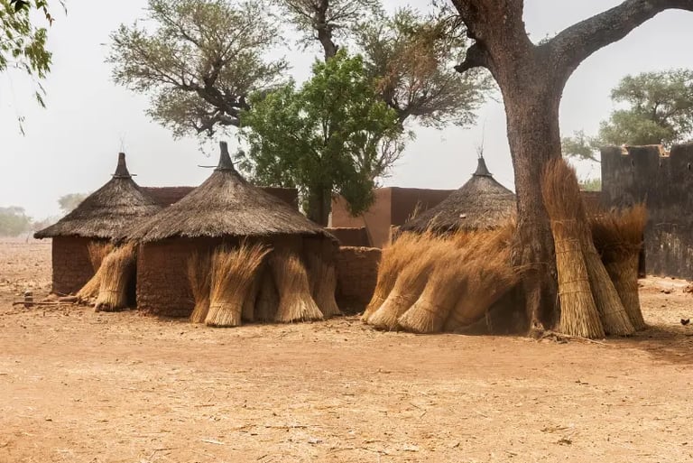 Traditional African village scene featuring mud huts with thatched roofs and bundles of dried grass for building.