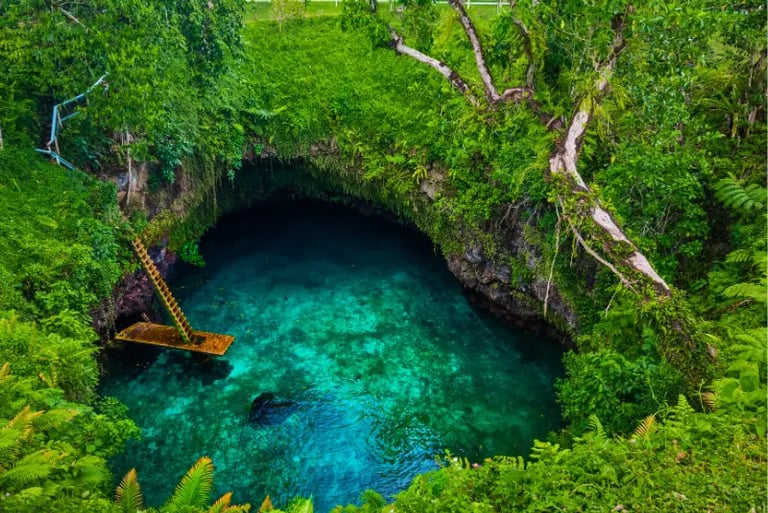 The To Sua Ocean Trench in Samoa featuring clear turquoise water, a wooden ladder, and lush tropical greenery.