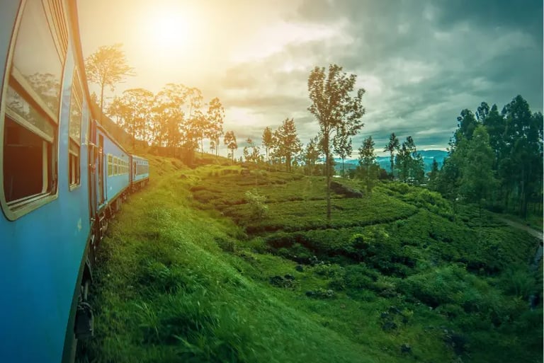 Blue train traveling through lush green tea plantations in Sri Lanka during a golden sunset.