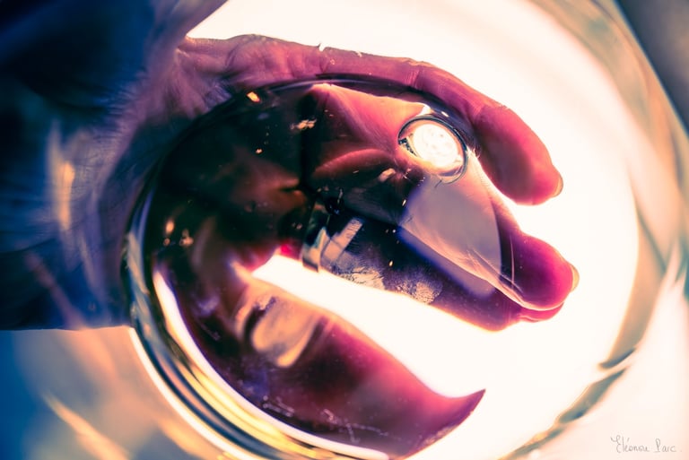 Main en transparence à travers un verre de vin. 👉 Ceux-ci passent bien partout (Saatchi, SEO, acce