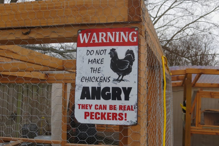 chicken sign warning do not make the chickens angry they can be real peckers!