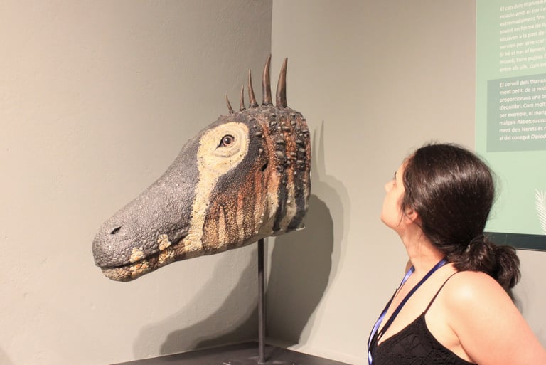 Museos, actividades para socios visitas culturales dinosaurios