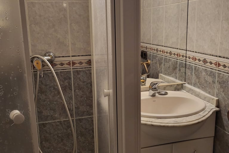 Baño de la habitación equipado con ducha