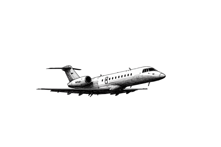 Transfert VTC luxe en jet privé – Chauffeur professionnel pour aéroports et avions d’affaires à Lyon