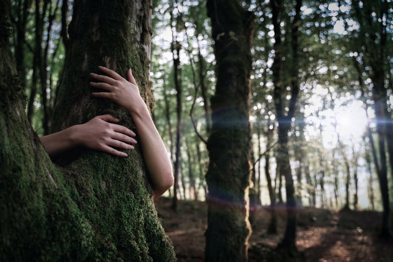 Hugging Trees Canada