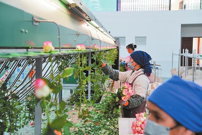 Kunming Flower market