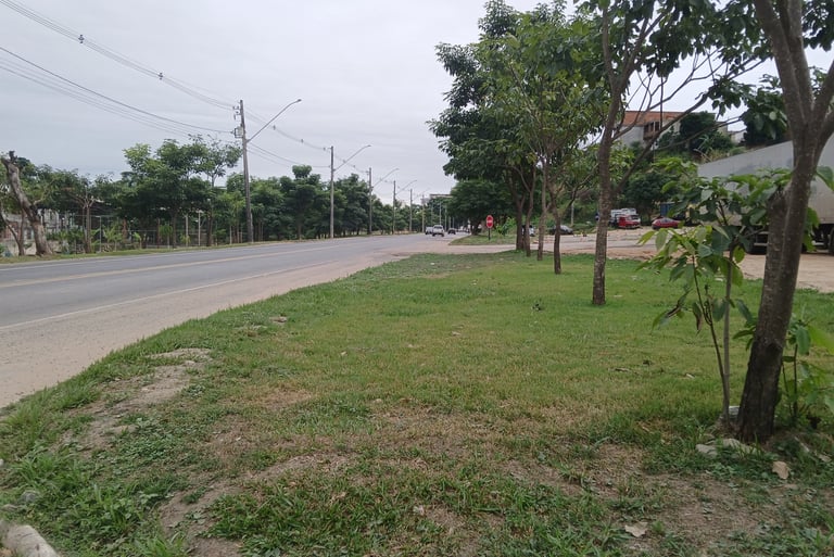 Br 116_Rio/Bahia local: GV_MG_BR