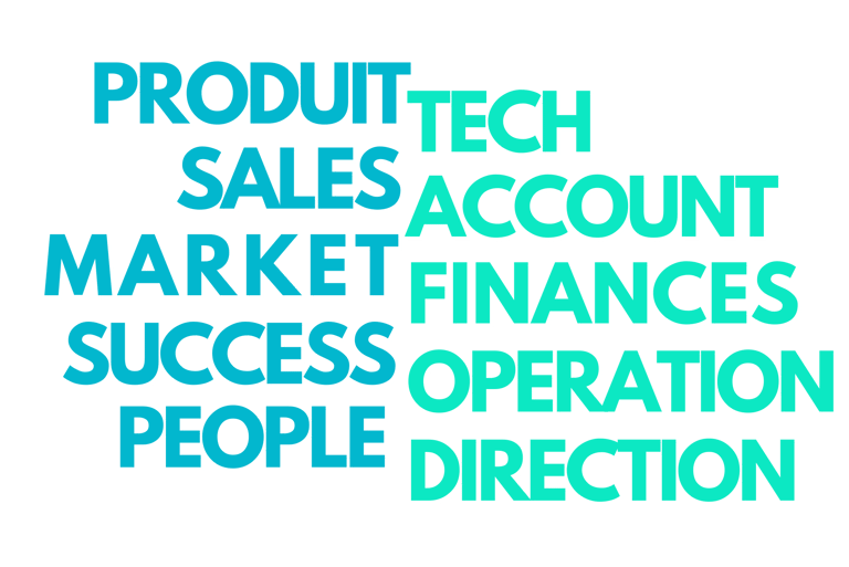 audit commercial complet