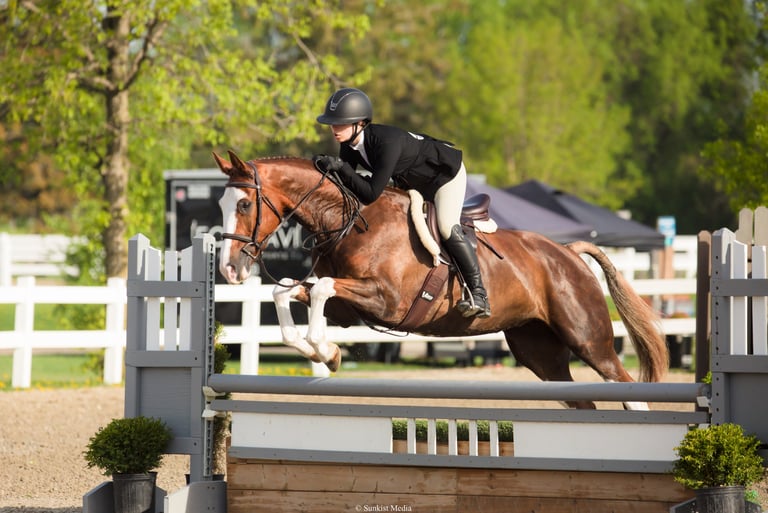 hunter derby baby green winner