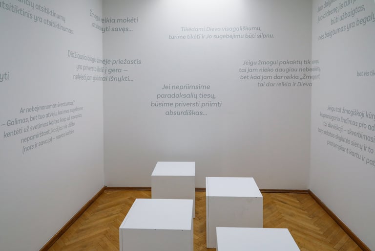 Nieko neveikimo akademijos erdvė. Sienos baltos, išklijuotos pilkos spalvos lipdukais su Mikučio mintimis. Ant grindų išdėlio