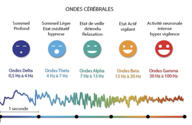 Ondes cérébrales et état 