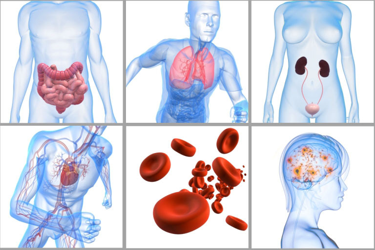 énergéticienne quantique