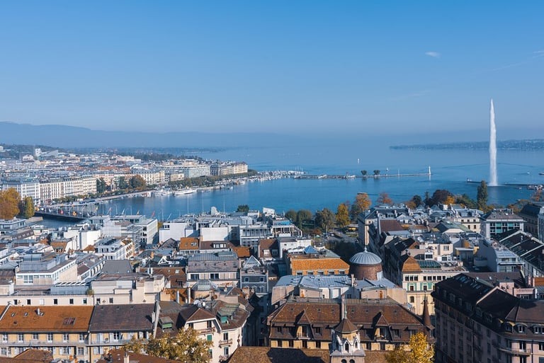 Intervention traitement charpente dans le canton de Genève