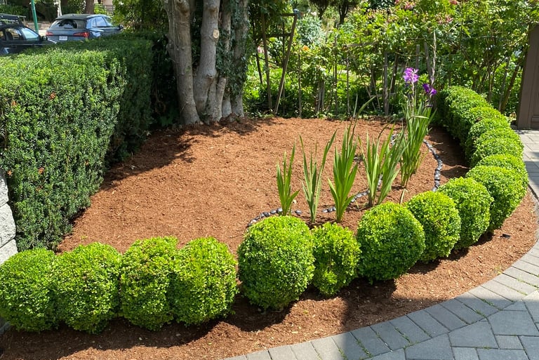 mulched garden bed