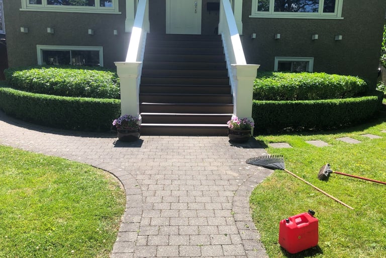 front lawn