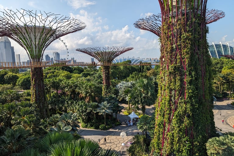Gardens by the bay