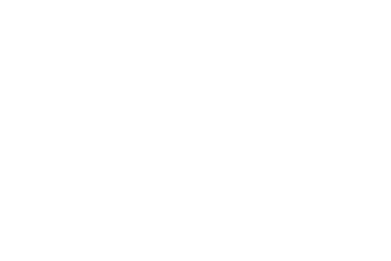 Logo Pains Sauvages