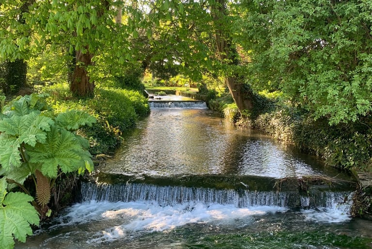 View of the River Wey from Church Street, near the junction of Stottingway Street Upwey