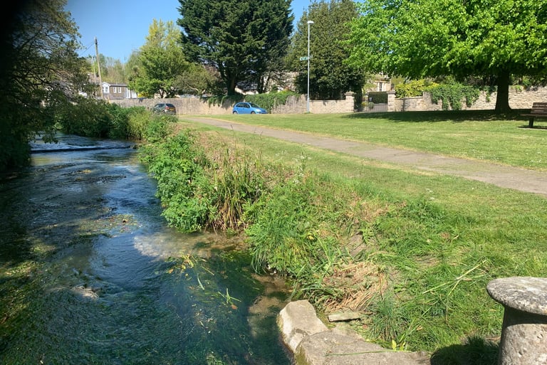 Bank of River Wey after cutting down brambles and nettles near Upwey Manor