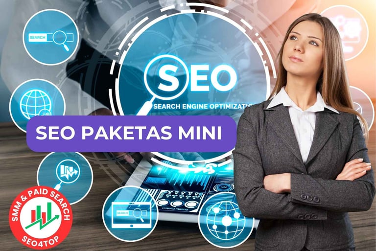 SEO paketas MINI