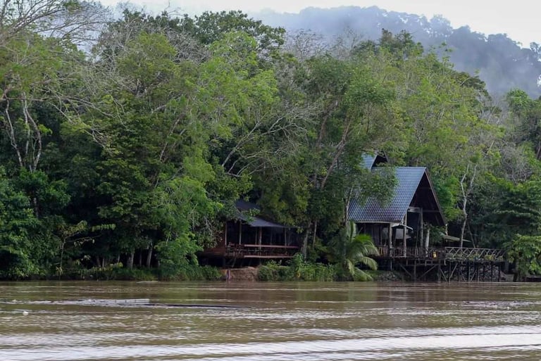 Borneo Natural Sukau Bilit Resort, Kinabatangan, Sabah