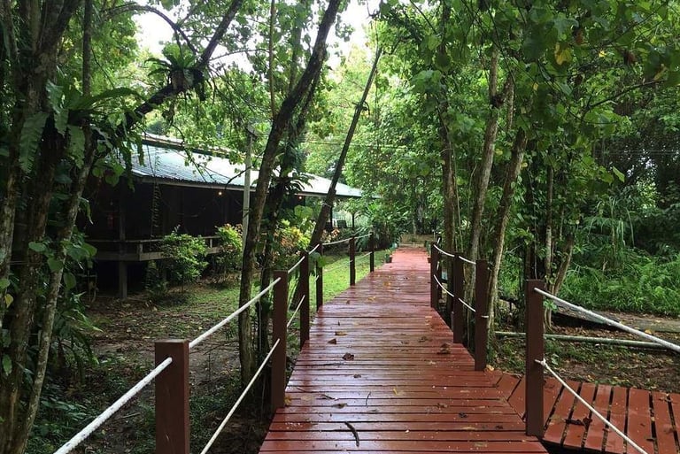 Tanini Kinabatangan Nature Lodge, Sabah