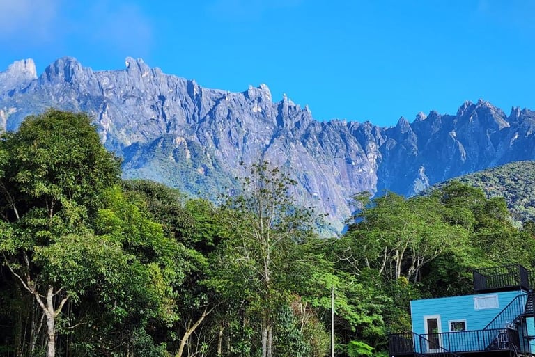 The Mountain Camp Mesilau