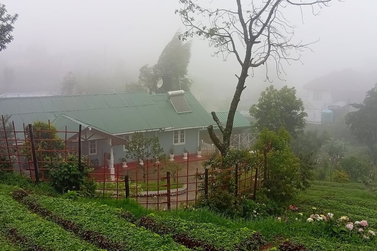 Misty garden and full view of Nobel Bungalow Nuwara Eliya – hillside holiday home in Sri Lanka