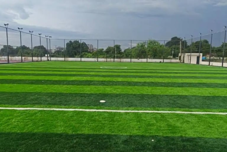 lawn grass suppliers Hyderabad