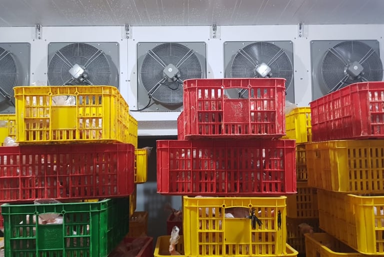 Air Blast Freezer ROCKET CHICKEN - Salatiga by CV MUDACOOL INDONESIA